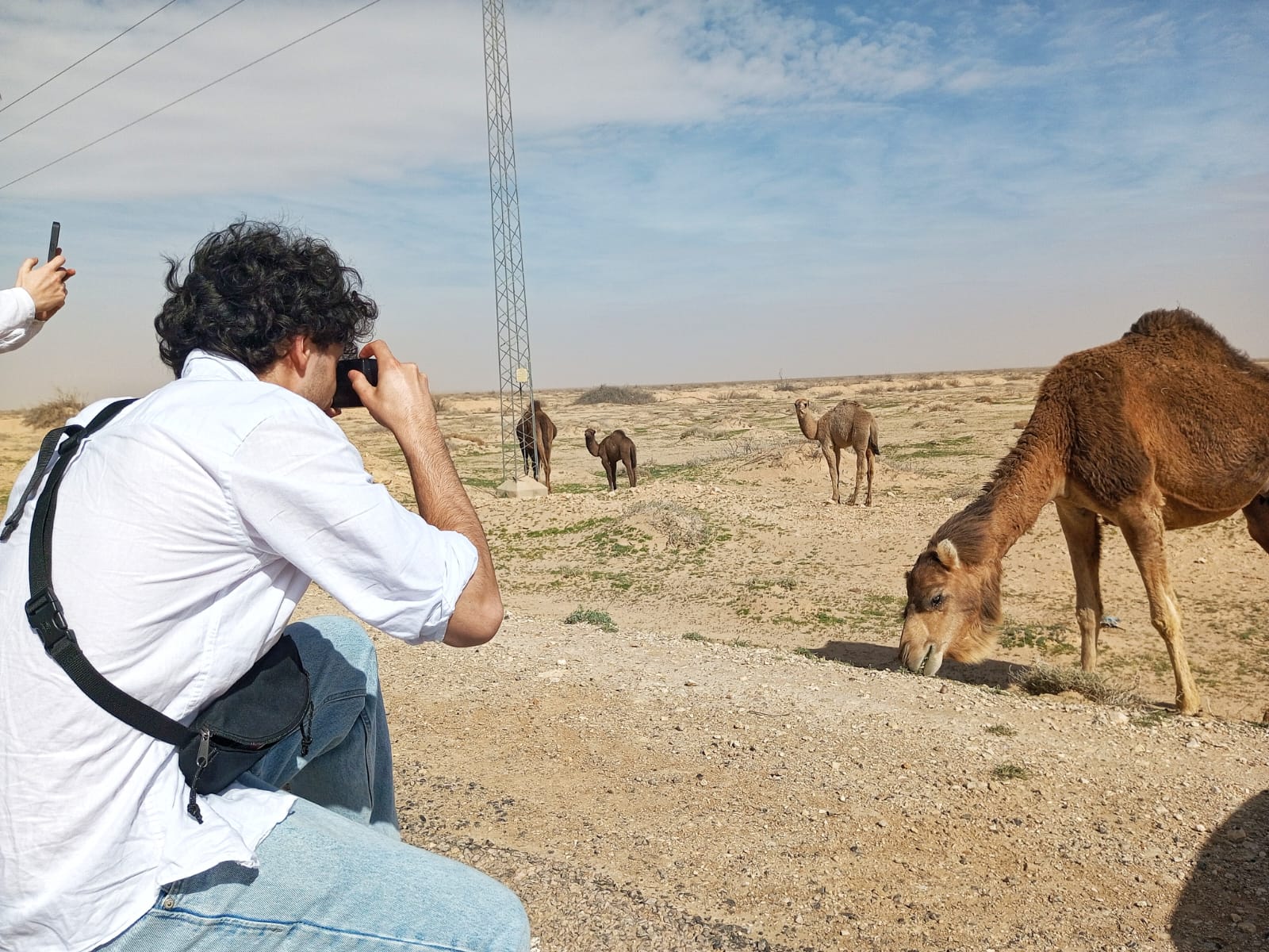 Méharée à dos de dromadaire au coucher du soleil